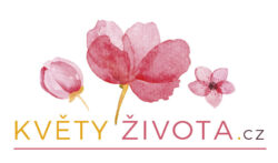 Květy života
